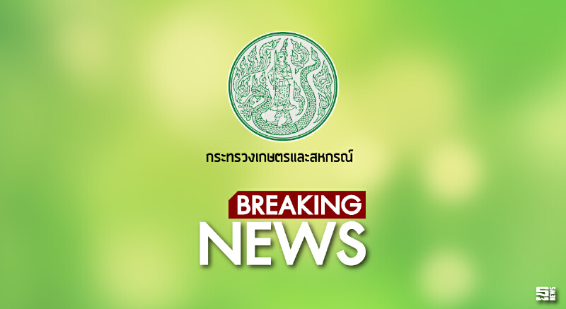 เกาะติดหอมแดง จ.ศรีสะเกษ สศท.11 คาดพื้นที่ปลูกเพิ่ม 25%