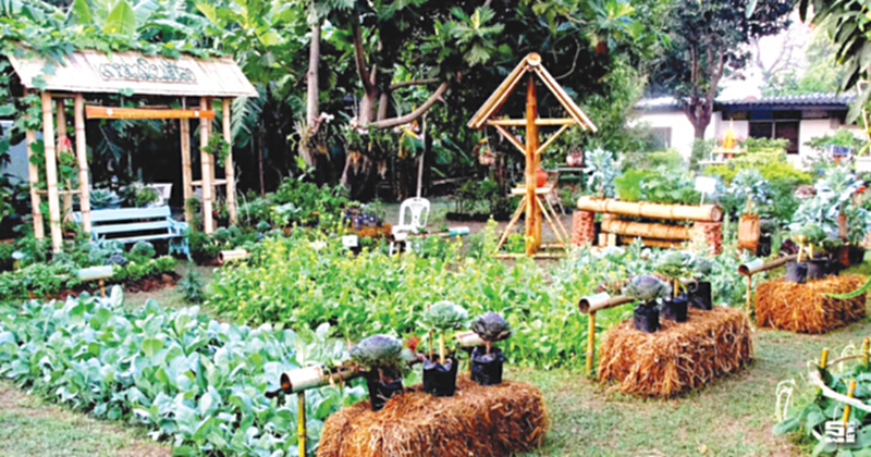 ปรัชญาเศรษฐกิจพอเพียง ปรัชญาเศรษฐกิจพอเพียง