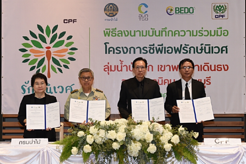 ซีพีเอฟจับมือกรมป่าไม้ อบก. และ BEDO อนุรักษ์ฟื้นฟูป่าต้นน้ำยั่งยืน ซีพีเอฟจับมือกรมป่าไม้ อบก. และ BEDO อนุรักษ์ฟื้นฟูป่าต้นน้ำยั่งยืน