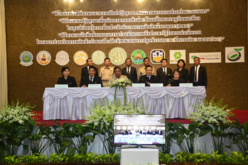 กระทรวงเกษตรฯทำเอ็มโอยูปลูกข้าวโพดเลี้ยงสัตว์ กระทรวงเกษตรฯทำเอ็มโอยูปลูกข้าวโพดเลี้ยงสัตว์