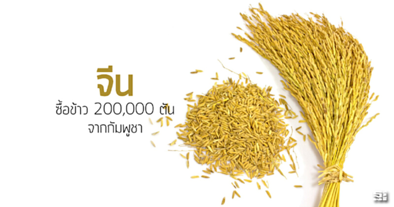 จีนซื้อข้าว 200,000 ตันจากกัมพูชา จีนซื้อข้าว 200,000 ตันจากกัมพูชา