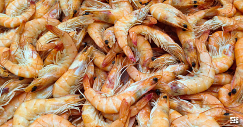 กุ้งฉุดกลุ่มอาหารแช่แข็งโต เล็งส่งออกทั้งปี1.17 แสนล. กุ้งฉุดกลุ่มอาหารแช่แข็งโต เล็งส่งออกทั้งปี1.17 แสนล.