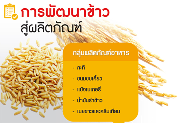 สารพัดสินค้าจากข้าว เพิ่มมูลค่า ทางรอดบนความยั่งยืน สารพัดสินค้าจากข้าว เพิ่มมูลค่า ทางรอดบนความยั่งยืน