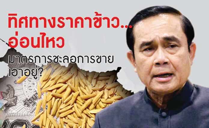 ทิศทางราคาข้าว...อ่อนไหว มาตรการชะลอการขายเอาอยู่ ? ทิศทางราคาข้าว...อ่อนไหว มาตรการชะลอการขายเอาอยู่ ?