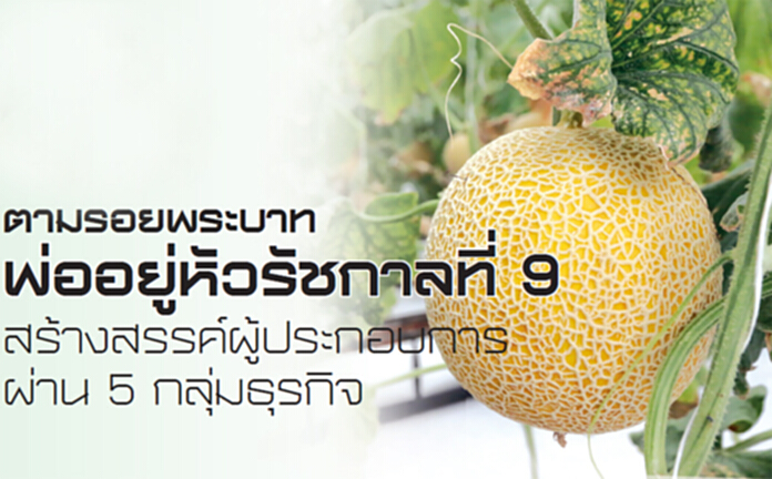 ตามรอยพระบาทพ่ออยู่หัวรัชกาลที่ 9 สร้างสรรค์ผู้ประกอบการผ่าน 5 กลุ่มธุรกิจ ตามรอยพระบาทพ่ออยู่หัวรัชกาลที่ 9 สร้างสรรค์ผู้ประกอบการผ่าน 5 กลุ่มธุรกิจ