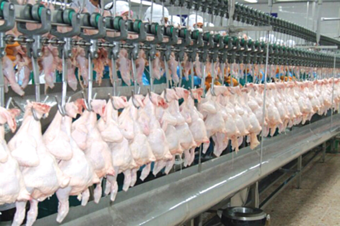 9 บิ๊กไก่สดแต่งตัวส่ง‘เกาหลี’ สมาคมลุยเป้าปีหน้า9.6หมื่นล. 9 บิ๊กไก่สดแต่งตัวส่ง‘เกาหลี’ สมาคมลุยเป้าปีหน้า9.6หมื่นล.