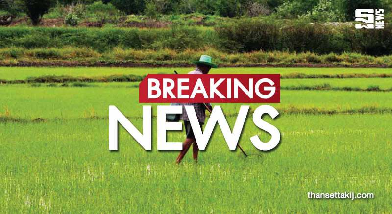 อบจ.อุดรผ่านข้อบัญญัติค้าข้าว ทุ่ม20ล้านรับซื้อแปรรูปอุ้มชาวนา