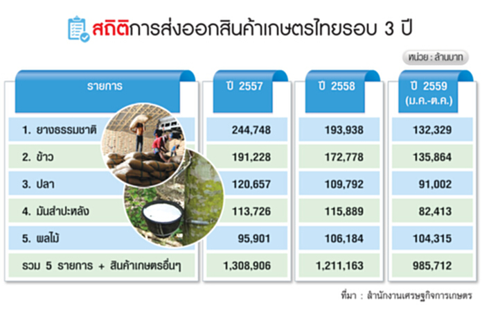 ผลผลิตสินค้าเกษตรล้นโลก ข้าว-มัน-ยางปี 60 หืดจับ‘ไก่-กุ้ง’ โตแต่เสี่ยง ผลผลิตสินค้าเกษตรล้นโลก ข้าว-มัน-ยางปี 60 หืดจับ‘ไก่-กุ้ง’ โตแต่เสี่ยง