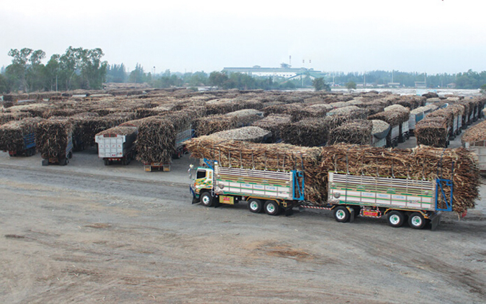 ชาวไร่ห่วงหีบอ้อยไม่ทันเม.ย. รถบรรทุกเกินน้ำหนักถูกยึดเพียบ