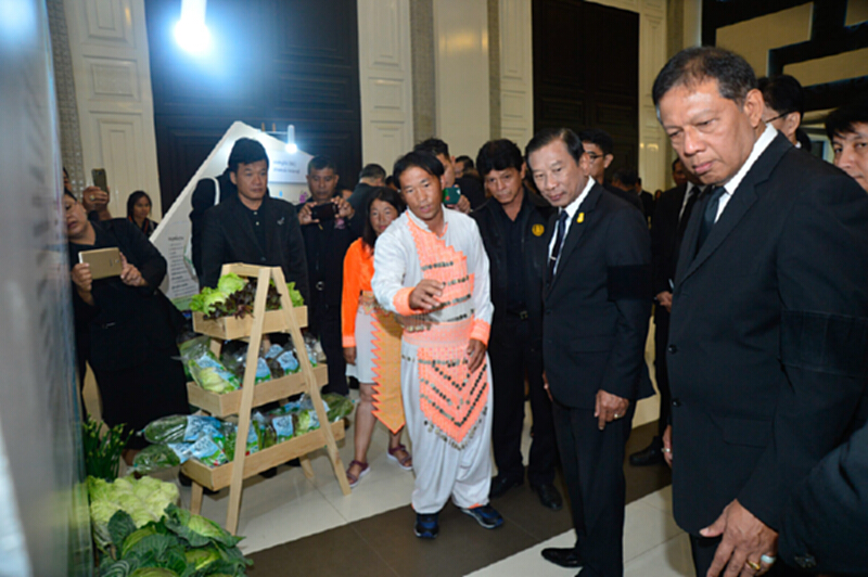 กระทรวงเกษตรฯเพิ่มพื้นที่เป้าหมายแปลงใหญ่ปี 60 กว่า 3 ล้านไร่ กระทรวงเกษตรฯเพิ่มพื้นที่เป้าหมายแปลงใหญ่ปี 60 กว่า 3 ล้านไร่