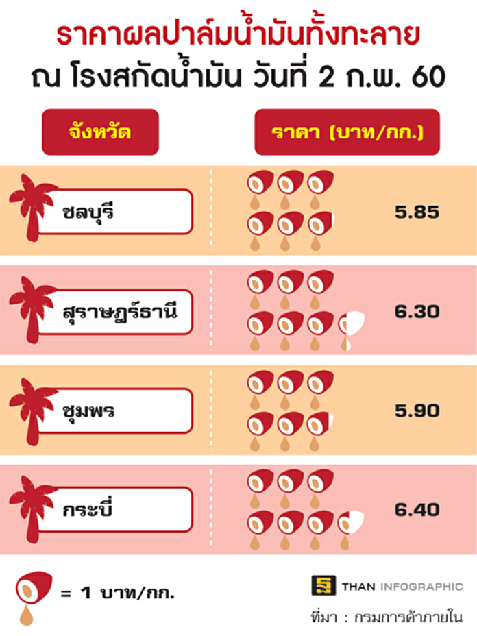 ชาวสวนเฮปาล์มราคาพุ่ง พาณิชย์ไม่มีแผนนำเข้า ชาวสวนเฮปาล์มราคาพุ่ง พาณิชย์ไม่มีแผนนำเข้า