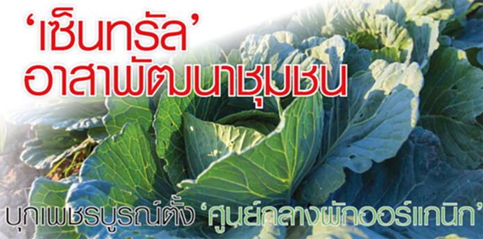 ‘เซ็นทรัล’ อาสาพัฒนาชุมชน บุกเพชรบูรณ์ ตั้ง ‘ศูนย์กลางผักออร์แกนิก’ ‘เซ็นทรัล’ อาสาพัฒนาชุมชน บุกเพชรบูรณ์ ตั้ง ‘ศูนย์กลางผักออร์แกนิก’