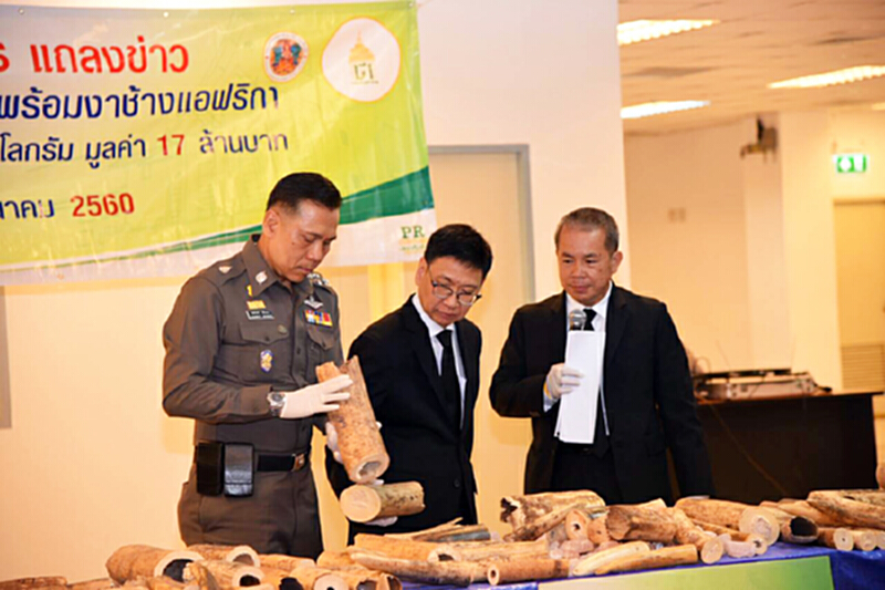 ตรวจยึดงาช้างลักลอบนำเข้าจากประเทศมาลาวี จำนวน 422 ท่อน ตรวจยึดงาช้างลักลอบนำเข้าจากประเทศมาลาวี จำนวน 422 ท่อน