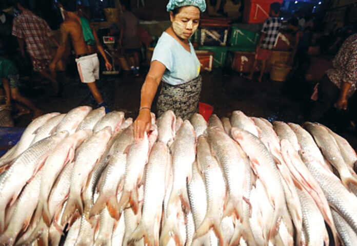 ‘เมียนมา’เพิ่มส่งออกประมง อ้อนรัฐต่อเรือ-ซื้อเครื่องจักร ‘เมียนมา’เพิ่มส่งออกประมง อ้อนรัฐต่อเรือ-ซื้อเครื่องจักร