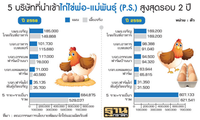 นำเข้าแม่พันธุ์ไก่ทุบราคาไข่ ซ้ำเติมปัญหาล้นตลาด-จี้ปลดไก่ยืนกรง70สัปดาห์ นำเข้าแม่พันธุ์ไก่ทุบราคาไข่ ซ้ำเติมปัญหาล้นตลาด-จี้ปลดไก่ยืนกรง70สัปดาห์