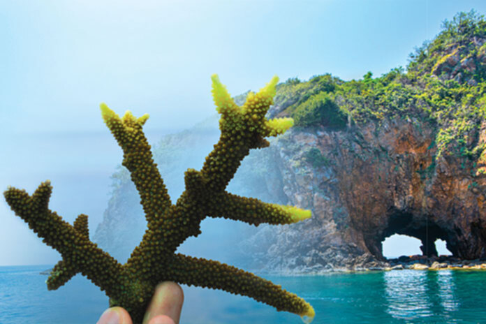 ท่อง‘เกาะทะลุ’ สไตล์ เลดี้ เจอร์นีย์ ท่อง‘เกาะทะลุ’ สไตล์ เลดี้ เจอร์นีย์