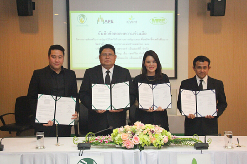 กยท. ผนึก 3 บริษัทโกยรายได้เสริมให้ชาวสวน กยท. ผนึก 3 บริษัทโกยรายได้เสริมให้ชาวสวน