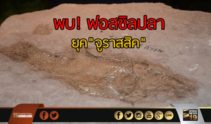 ฮือฮา! พบฟอสซิลปลายุค"จูราสสิค" ที่โคราช ฮือฮา! พบฟอสซิลปลายุค"จูราสสิค" ที่โคราช