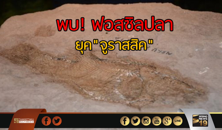 ฮือฮา! พบฟอสซิลป​ลายุค"จูราสสิค" ที่โคราช