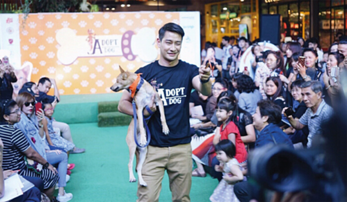 ‘Little Hands Can Help’ รวมพลังสร้างสังคม ‘Little Hands Can Help’ รวมพลังสร้างสังคม