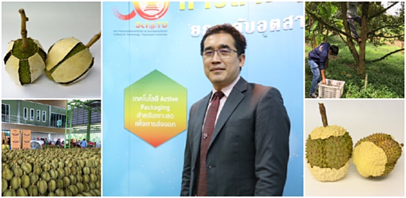 วิทยาศาสตร์ฯ มธ.โชว์นวัตกรรม"เคลือบทุเรียน"กันกลิ่น-กันแตก ยืดอายุได้อีกเท่าตัว วิทยาศาสตร์ฯ มธ.โชว์นวัตกรรม"เคลือบทุเรียน"กันกลิ่น-กันแตก ยืดอายุได้อีกเท่าตัว