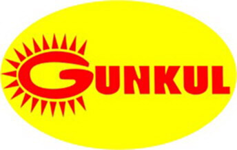 GUNKUL เปิดตัว 3 หุ้นใหญ่ขายบิ๊กล็อต 12.81% GUNKUL เปิดตัว 3 หุ้นใหญ่ขายบิ๊กล็อต 12.81%