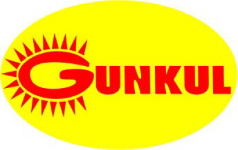 GUNKUL เปิดตัว 3 หุ้นใหญ่ขายบิ๊กล็อต 12.81% GUNKUL เปิดตัว 3 หุ้นใหญ่ขายบิ๊กล็อต 12.81%