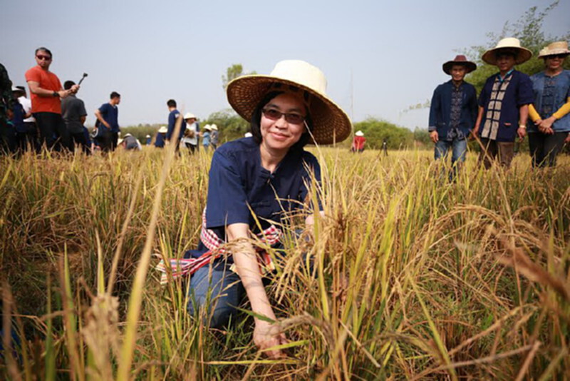 เร่งบูรณาการขับเคลื่อนยุทธศาสตร์การพัฒนาเกษตรอินทรีย์แห่งชาติ เร่งบูรณาการขับเคลื่อนยุทธศาสตร์การพัฒนาเกษตรอินทรีย์แห่งชาติ