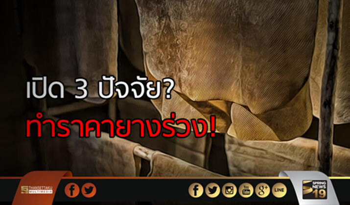 กยท.แจง 3 ปัจจัยทำราคายางร่วง-โต้ข่าวบริษัทยางล้อไม่รับซื้อ กยท.แจง 3 ปัจจัยทำราคายางร่วง-โต้ข่าวบริษัทยางล้อไม่รับซื้อ