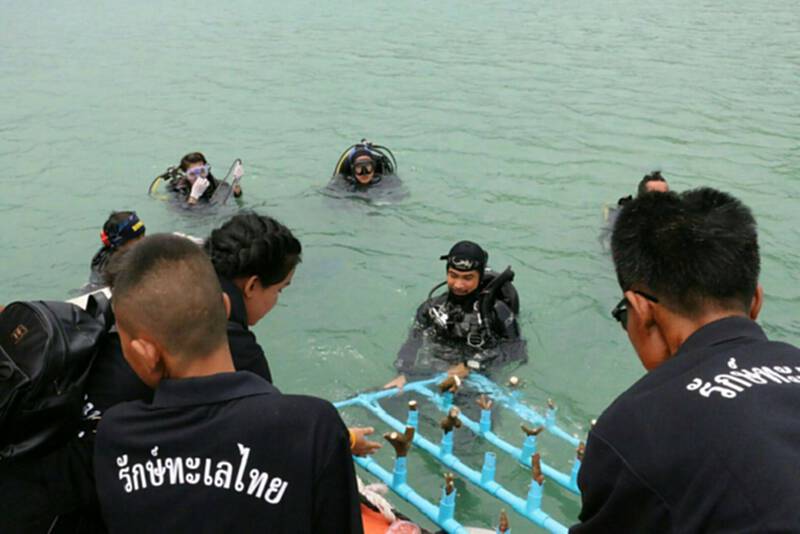 กองทัพเรือจัดกิจกรรมเก็บขยะตลอดแนวชายฝั่ง กองทัพเรือจัดกิจกรรมเก็บขยะตลอดแนวชายฝั่ง