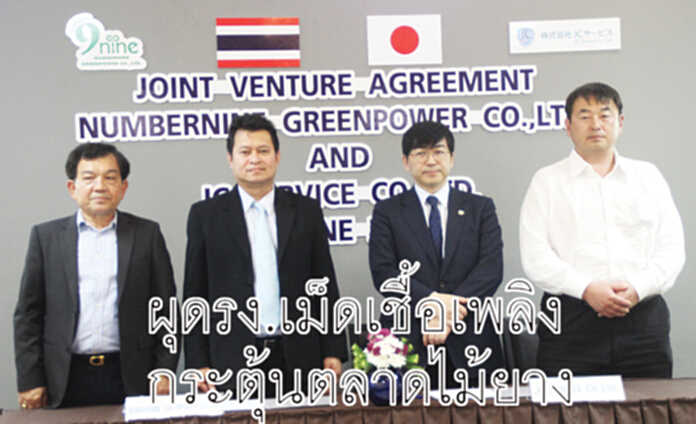 ผุดรง.เม็ดเชื้อเพลิง กระตุ้นตลาดไม้ยาง ผุดรง.เม็ดเชื้อเพลิง กระตุ้นตลาดไม้ยาง