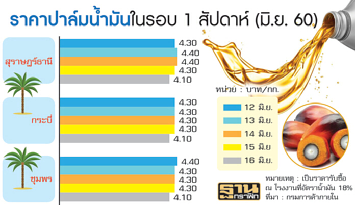 ล้มซื้อน้ำมันปาล์มดิบแสนตัน อคส.แทรกแซงปี 60 เป็นหมัน-เกษตรกรมั่นใจราคายังดี ล้มซื้อน้ำมันปาล์มดิบแสนตัน อคส.แทรกแซงปี 60 เป็นหมัน-เกษตรกรมั่นใจราคายังดี