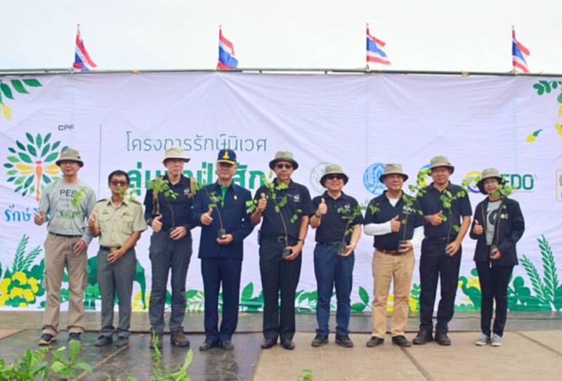 ซีพีเอฟรวมพลังทุกภาคส่วนคืนความอุดมสมบูรณ์ป่า‘เขาพระยาเดินธง’จ.ลพบุรี ซีพีเอฟรวมพลังทุกภาคส่วนคืนความอุดมสมบูรณ์ป่า‘เขาพระยาเดินธง’จ.ลพบุรี