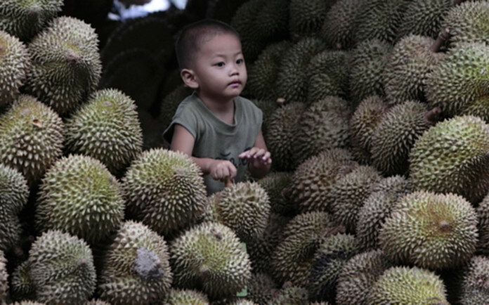 เจาะดัชนีสินค้าเกษตรเดือนพ.ค.60 ผลผลิตขยับ-ราคาถอย เจาะดัชนีสินค้าเกษตรเดือนพ.ค.60 ผลผลิตขยับ-ราคาถอย