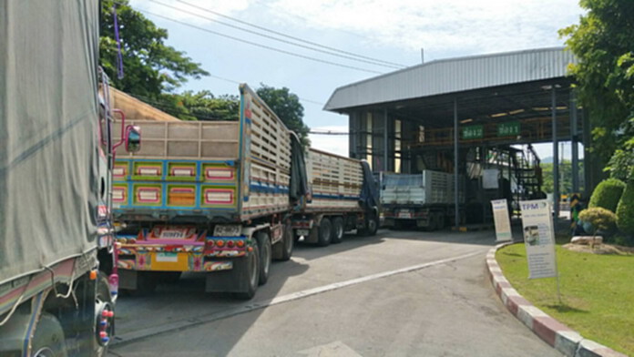 CP ยืนยันยังเปิดรับซื้อผลผลิตข้าวโพดเลี้ยงสัตว์อย่างต่อเนื่อง CP ยืนยันยังเปิดรับซื้อผลผลิตข้าวโพดเลี้ยงสัตว์อย่างต่อเนื่อง