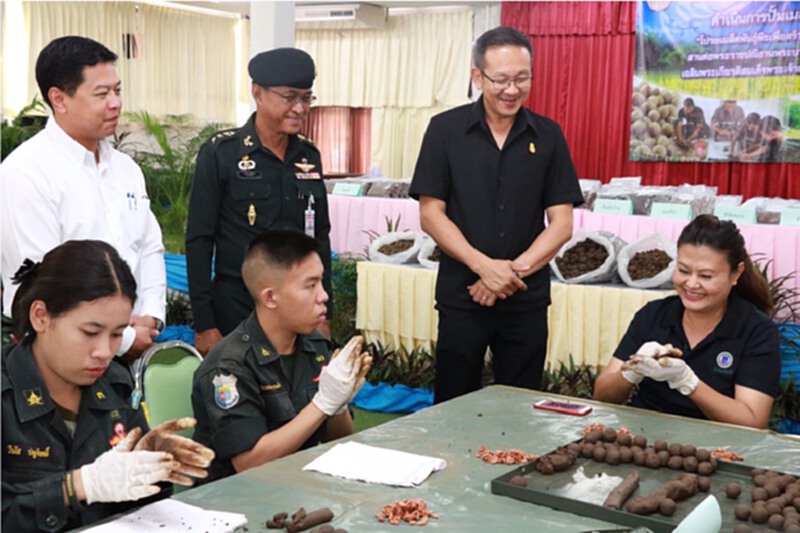 ฝนหลวงฯจับมือกองทัพบก โปรยเมล็ดพันธุ์พืชเพิ่มผืนป่า ฝนหลวงฯจับมือกองทัพบก โปรยเมล็ดพันธุ์พืชเพิ่มผืนป่า