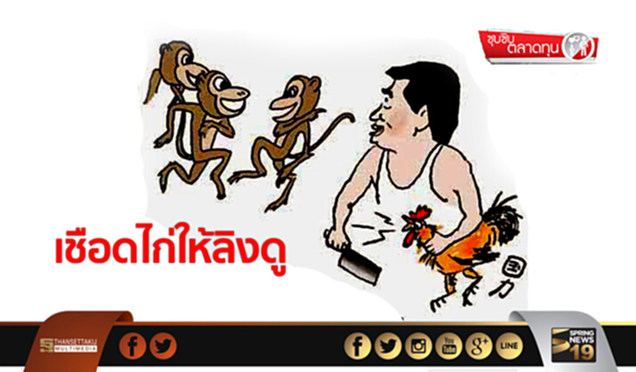 ซุบซิบตลาดทุน : เชือดไก่ให้ลิงดู ซุบซิบตลาดทุน : เชือดไก่ให้ลิงดู