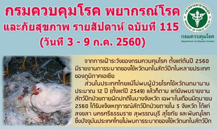 กรมควบคุมโรคเตือน!พบสัตว์ปีกป่วยตาย แจ้ง อสม.หรือปศุสัตว์ในพื้นที่ กรมควบคุมโรคเตือน!พบสัตว์ปีกป่วยตาย แจ้ง อสม.หรือปศุสัตว์ในพื้นที่