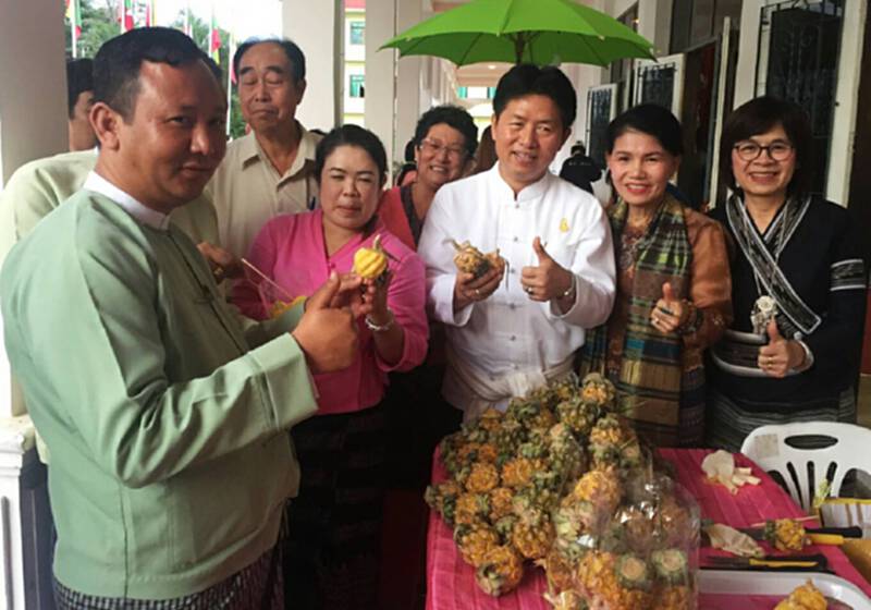 ชาวเชียงตุงติดใจสับปะรดภูแล ติดอันดับขายดีงานโอทอป 2 แผ่นดิน ชาวเชียงตุงติดใจสับปะรดภูแล ติดอันดับขายดีงานโอทอป 2 แผ่นดิน