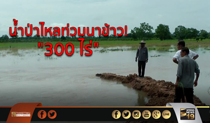 “พิจิตร” คันกั้นคลองถูกน้ำป่ากัดเซาะไหลท่วมนาข้าว “กว่า 300 ไร่” “พิจิตร” คันกั้นคลองถูกน้ำป่ากัดเซาะไหลท่วมนาข้าว “กว่า 300 ไร่”
