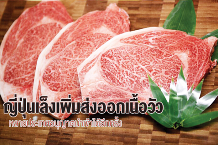ญี่ปุ่นเล็งเพิ่มส่งออกเนื้อวัว หวังหลายประเทศอนุญาตนำเข้าได้อีกครั้ง ญี่ปุ่นเล็งเพิ่มส่งออกเนื้อวัว หวังหลายประเทศอนุญาตนำเข้าได้อีกครั้ง