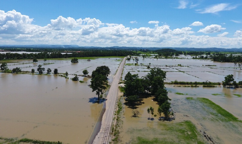 "เซินกา"พ่นพิษ! นาข้าวเชียงราย 2.5 หมื่นไร่จมน้ำ