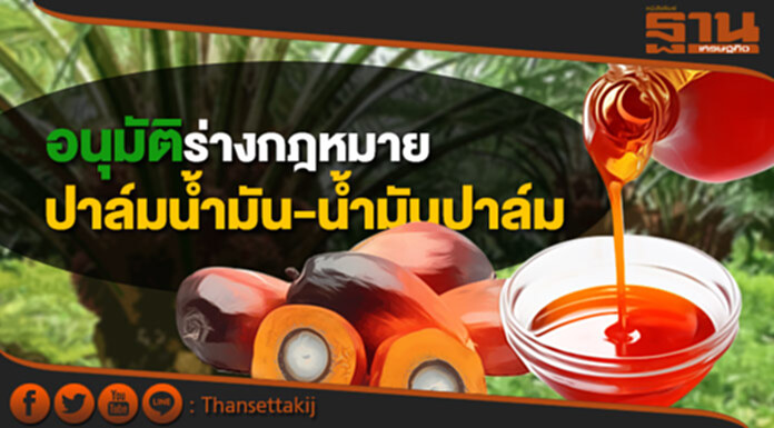 ชาวสวนปาล์มโอดหลังสธ.เสนอแบนพาราควอตหวั่นต้นทุนพุ่ง ชาวสวนปาล์มโอดหลังสธ.เสนอแบนพาราควอตหวั่นต้นทุนพุ่ง