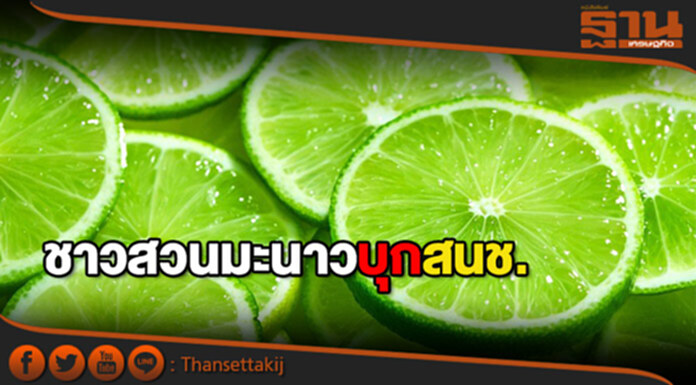 ชาวสวนมะนาวบุกสนช.ขอช่วยเหลือราคาสุดถูก ชาวสวนมะนาวบุกสนช.ขอช่วยเหลือราคาสุดถูก