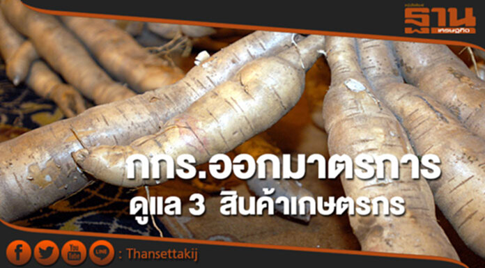 กกร.ออกมาตรการดูแล 3 สินค้าเกษตรกร มัน ปาล์ม ข้าวโพดเลี้ยงสัตว์ กกร.ออกมาตรการดูแล 3 สินค้าเกษตรกร มัน ปาล์ม ข้าวโพดเลี้ยงสัตว์