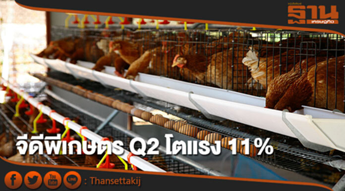 จีดีพีเกษตร Q2 โตแรง 11% ทุกสาขาพาเหรดขยายตัว จีดีพีเกษตร Q2 โตแรง 11% ทุกสาขาพาเหรดขยายตัว