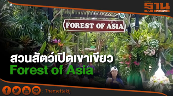 สวนสัตว์เปิดเขาเขียว เปิดส่วนแสดงใหม่ "Forest of Asia" สวนสัตว์เปิดเขาเขียว เปิดส่วนแสดงใหม่ "Forest of Asia"