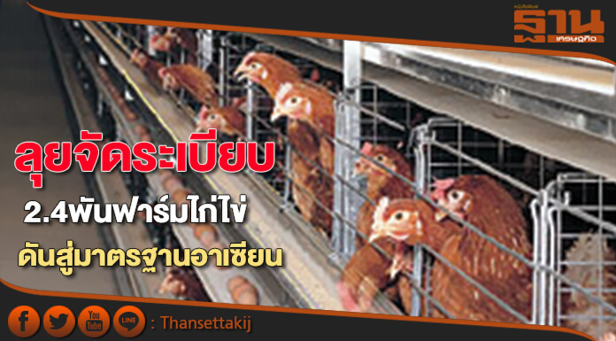 ลุยจัดระเบียบ 2.4 พันฟาร์มไก่ไข่ ดันสู่มาตรฐานอาเซียน-รายย่อยร้องแบงก์เมินปล่อยกู้
