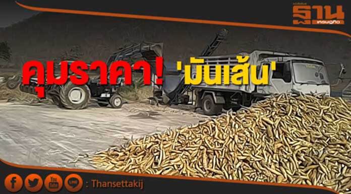 3 สมาคมเอาจริง! คุมราคามันเส้น ห้ามสมาชิกขายต่ำกว่า 175ดอลล์/ตัน 3 สมาคมเอาจริง! คุมราคามันเส้น ห้ามสมาชิกขายต่ำกว่า 175ดอลล์/ตัน