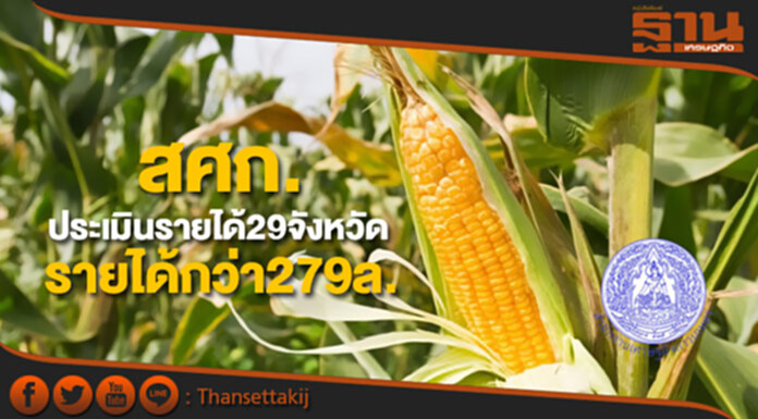 สศก.ชูผลประเมินรายได้29จังหวัด เกษตรกรข้าวโพดมีรายได้กว่า279ล. สศก.ชูผลประเมินรายได้29จังหวัด เกษตรกรข้าวโพดมีรายได้กว่า279ล.